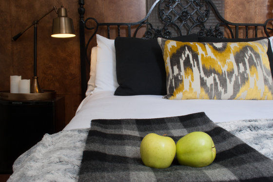 Made Inn Vermont An Urban-Chic Boutique Bed And Breakfast Burlington Pokój zdjęcie
